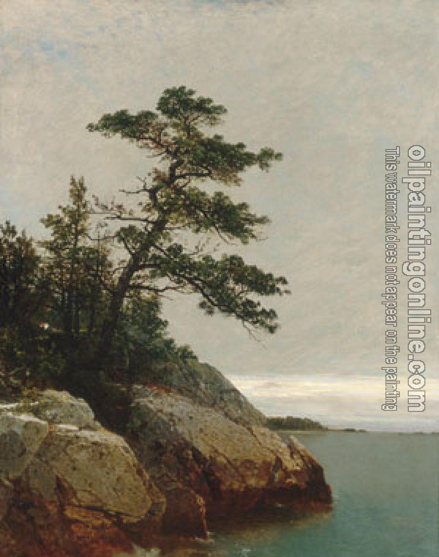 John Frederick Kensett - The Old Pine Darien Connecticut